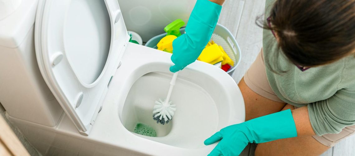 Brosse de toilettes : comment la nettoyer et quand la renouveler ?